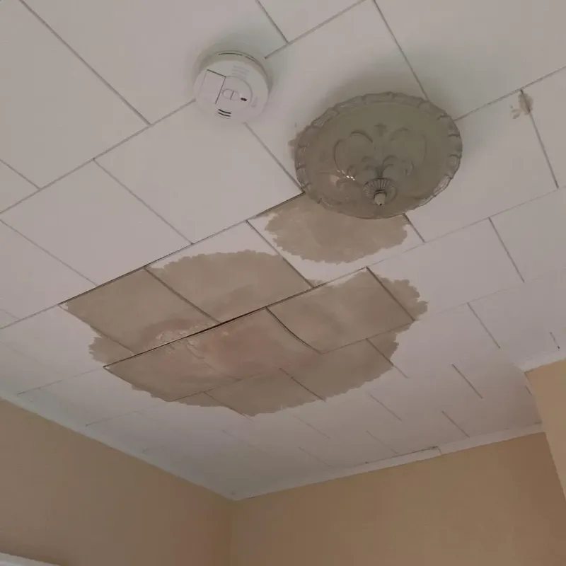 Ceiling Water Damage Repair in Blasdell, NY